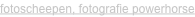 shapeimage_2_link_0